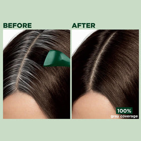 Clairol Root Touch-Up application instructions