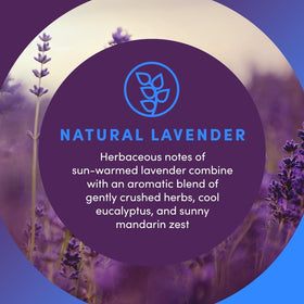 Clean Revolution Liquid Gel Hand Soap Refill 128 Fl Oz Natural Lavender back view