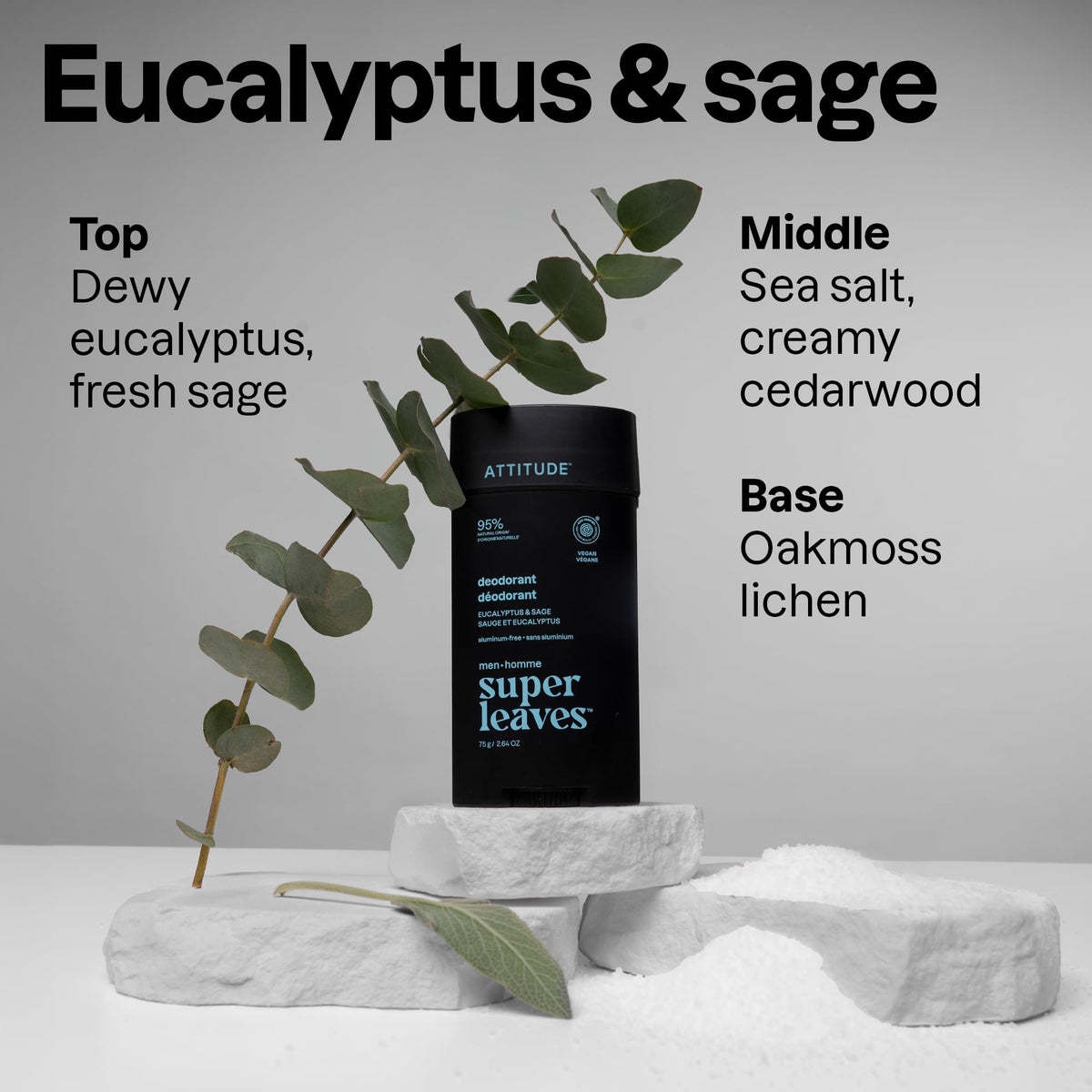 Close-up of ATTITUDE Men's Eucalyptus & Sage Deodorant stick