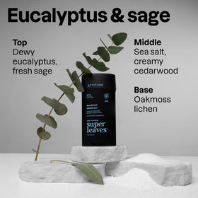 Close-up of ATTITUDE Men's Eucalyptus & Sage Deodorant stick