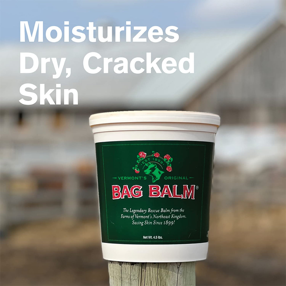 Close-up of Bag Balm texture on hand