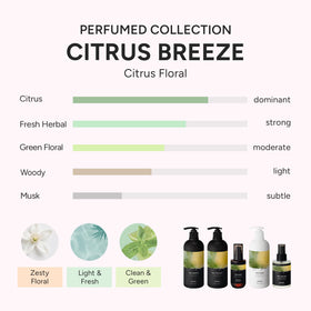 Close-up of BANANAL Hair Perfume Oil & Serum texture