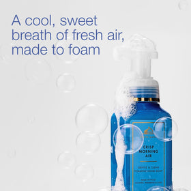 Close-up of Bath & Body Works Crisp Morning Air Foaming Hand Soap bottle