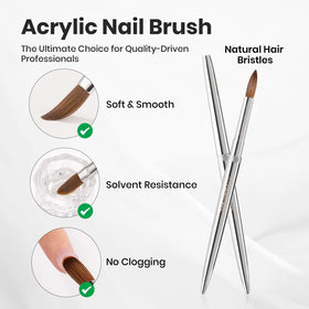 close-up of beetles Gel Polish Acrylic Nail Brush bristles