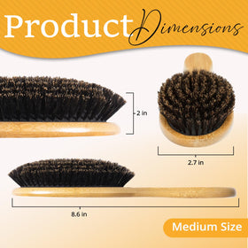Close-up of Belula boar bristle hairbrush showing bristles