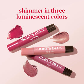 Close-up of Burt's Bees Lip Shimmer Raisin tube