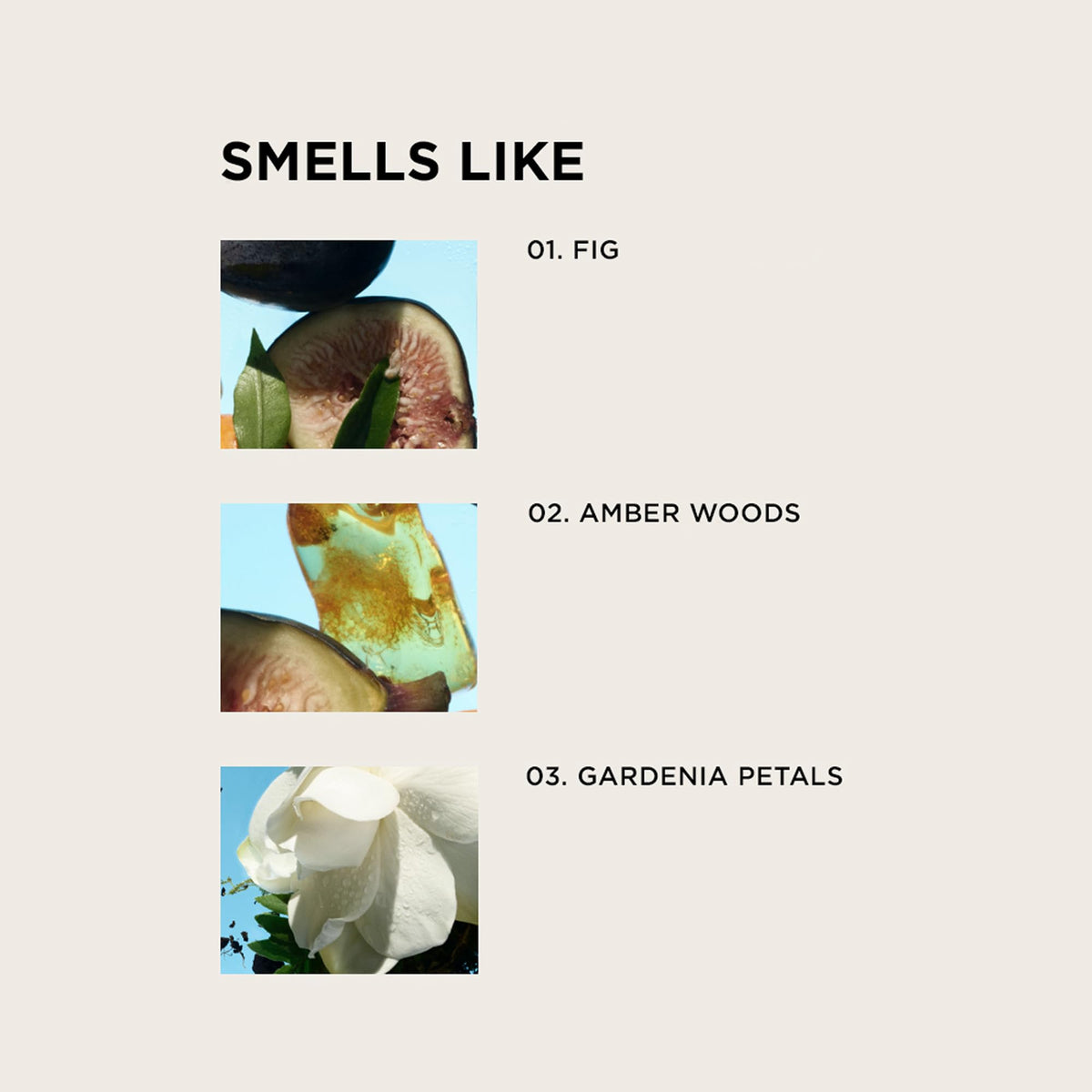 Close-up of By Rosie Jane Eau De Parfum Spray (James) label