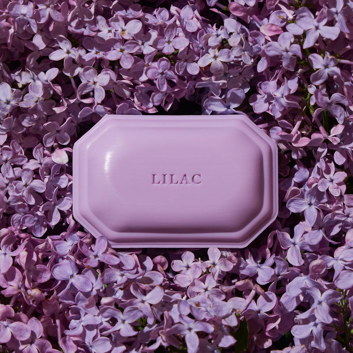 Close-up of Caswell-Massey Lilac Soap texture