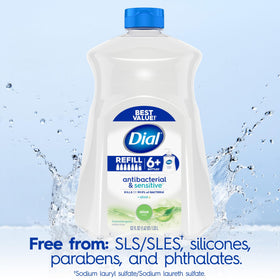 Close-up of Dial Antibacterial Liquid Hand Soap Aloe Scent pump