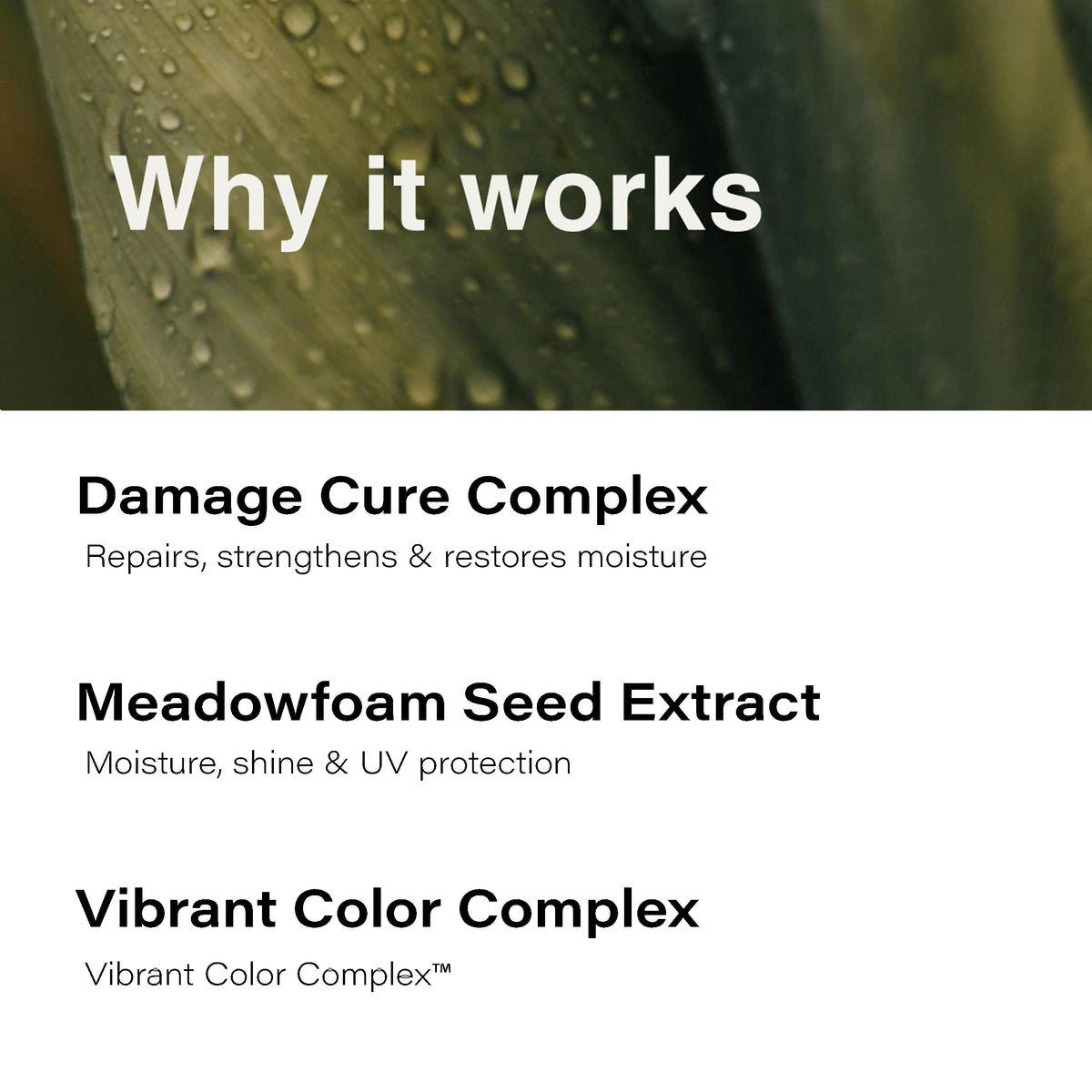 Close-up of Eufora Leave-In Repair texture