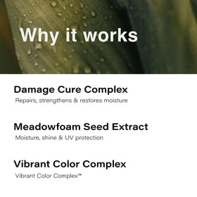 Close-up of Eufora Leave-In Repair texture
