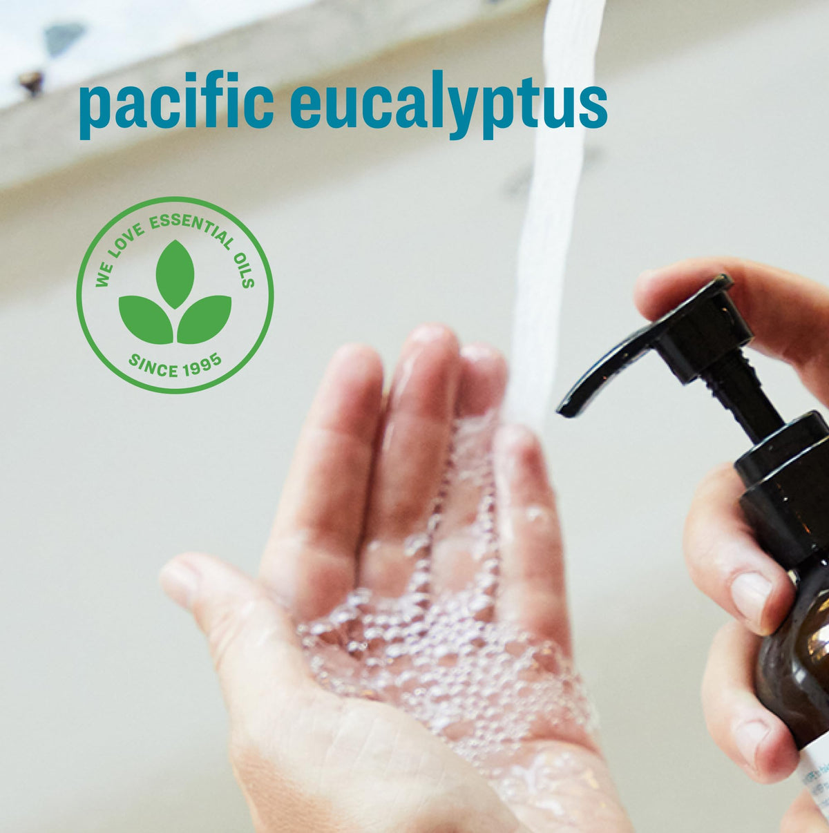 close-up of everyone Liquid Hand Soap pump