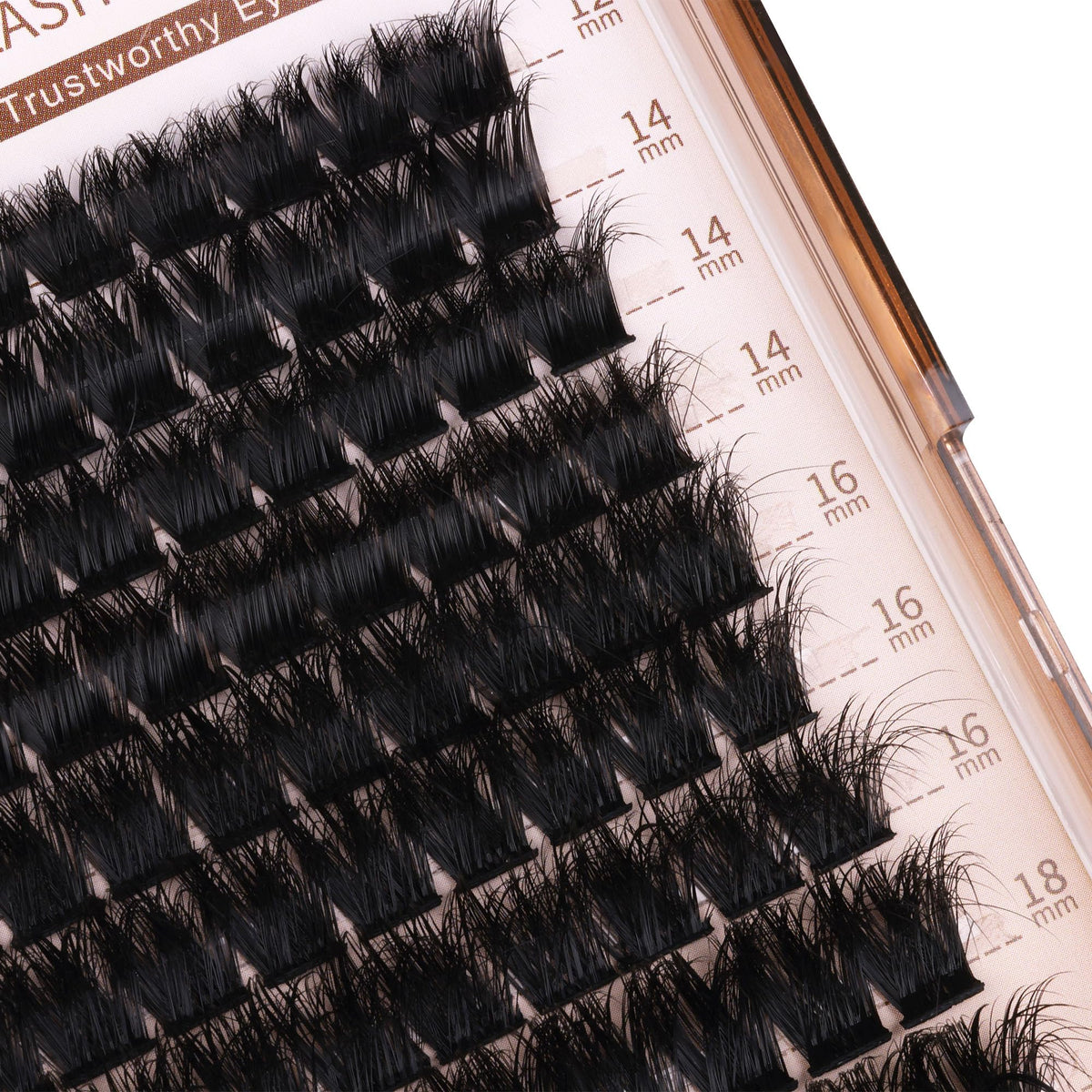 Close-up of Geeneiya lash bond and seal included in the kit