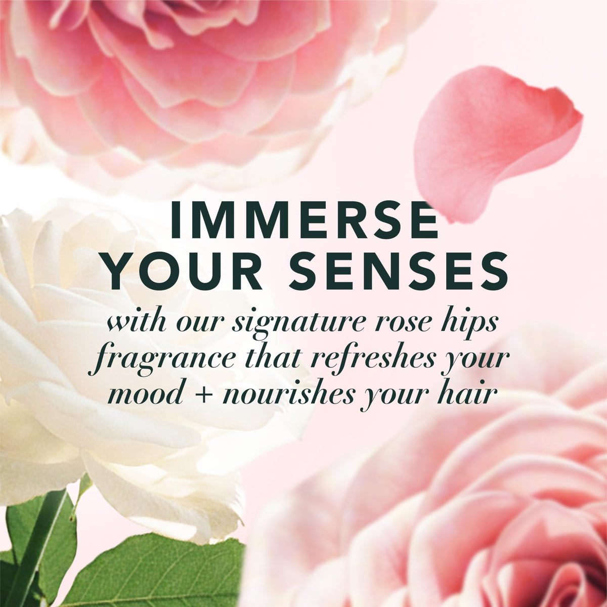 Close-up of Herbal Essences Hair Mist Rose Scent spray nozzle