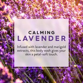 Close-up of JASON Lavender Calming Body Wash ingredients