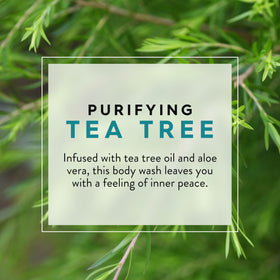Close-up of JASON Tea Tree Body Wash texture