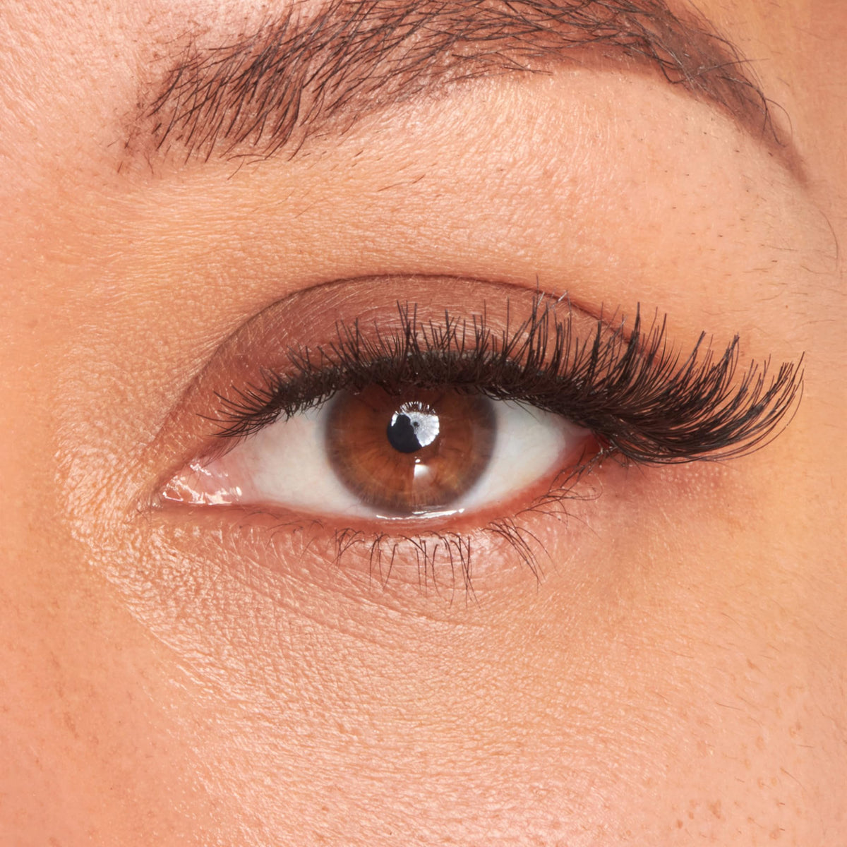 Close-up of KISS Pompadour False Eyelashes showing clear band