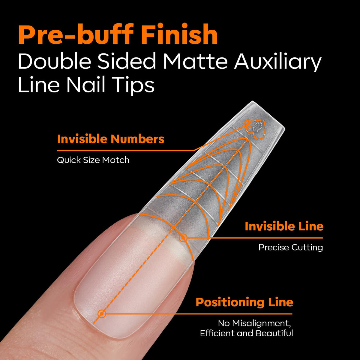 Close-up of Modelones nail tips showing clear guide lines