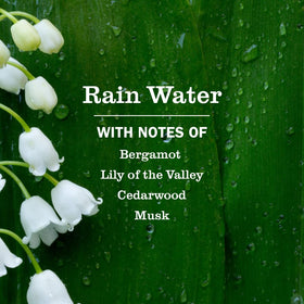 Close-up of Mrs. MEYER'S Hand Soap bottle with Rain Water scent