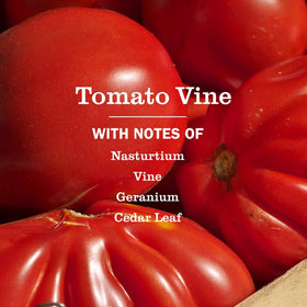Close-up of Mrs. MEYER'S Liquid Hand Soap Tomato Vine bottle