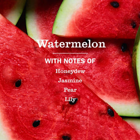 Close-up of Mrs. MEYER'S Watermelon Foaming Hand Soap pump