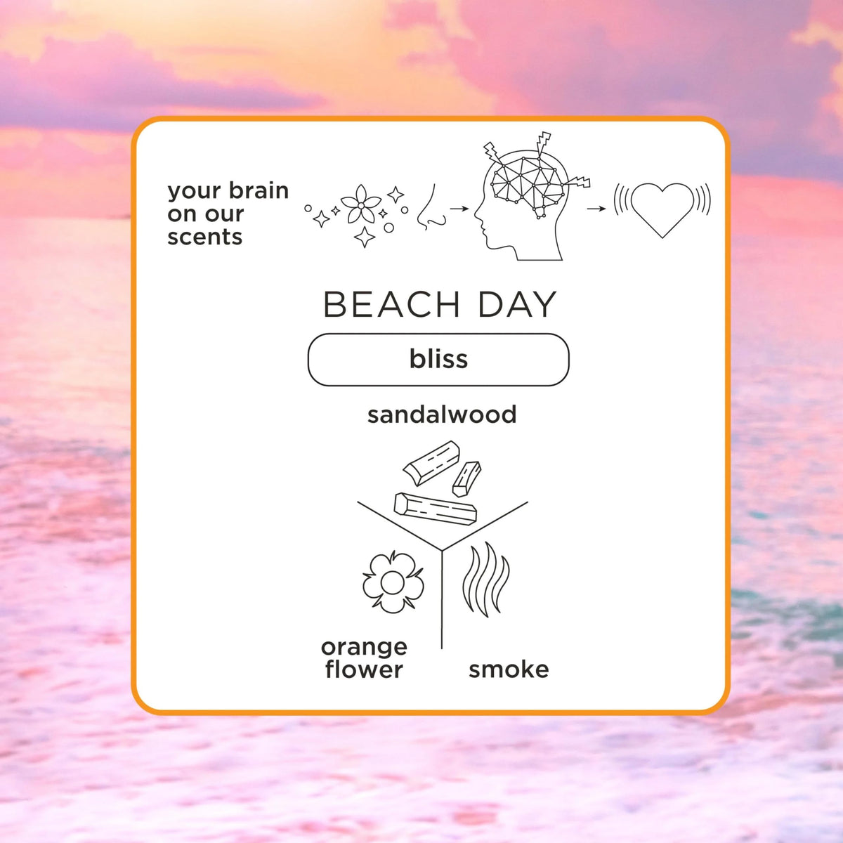 Close-up of Pacifica Iconic Scents Gift Box contents
