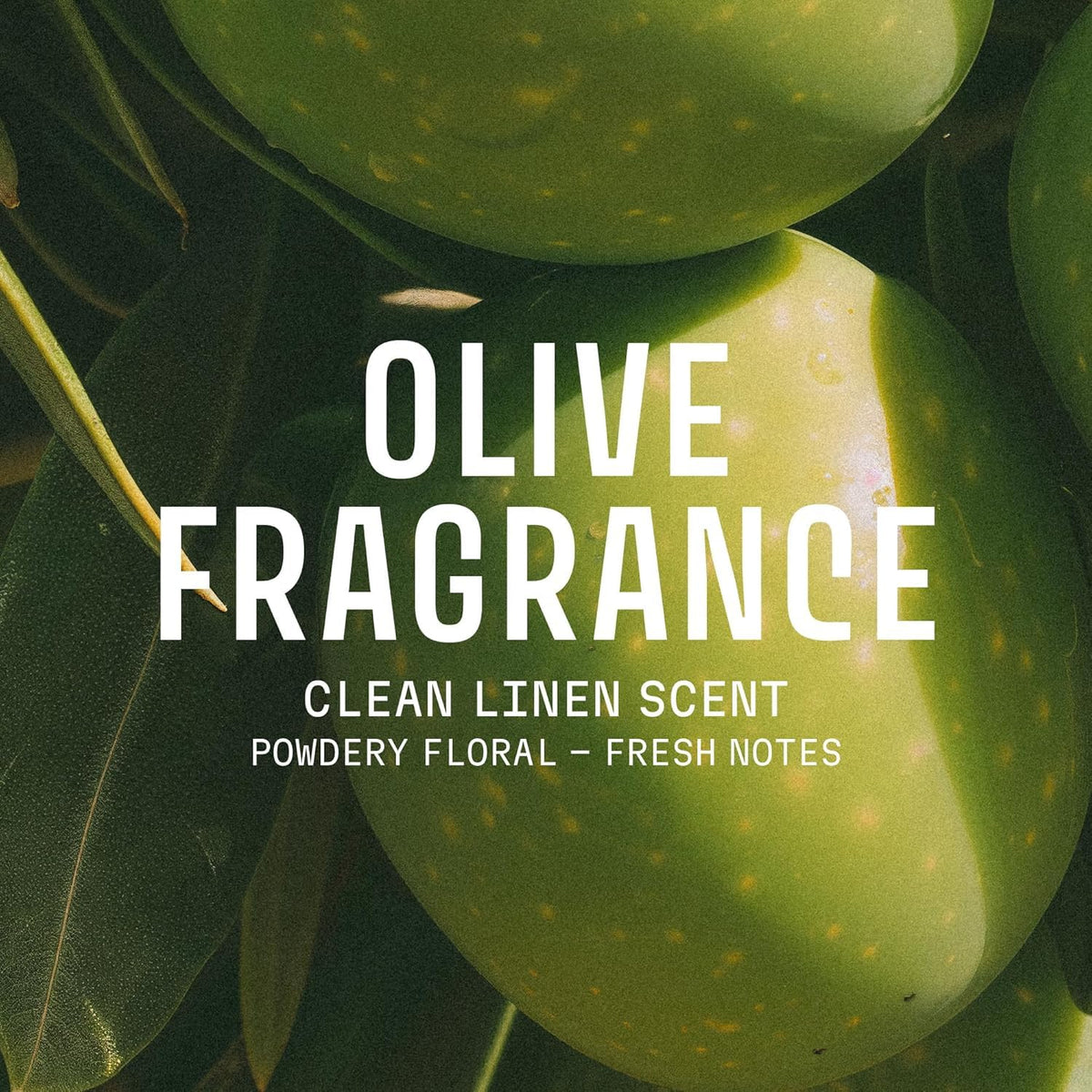Close-up of Panier des Sens Olive Oil Liquid Hand Soap label