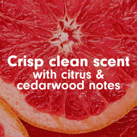 Close-up of Softsoap Antibacterial Hand Soap pump