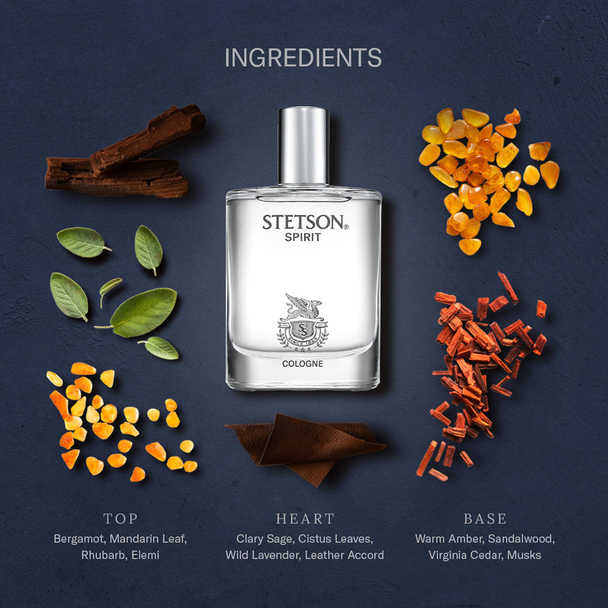 Close-up of Stetson Spirit Cologne label