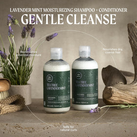 Close-up of Tea Tree Lavender Mint Shampoo cap