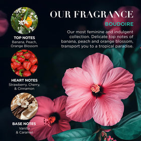 Close-up of the body lotion from Baylis & Harding gift set