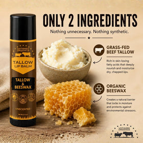 Close-up of Untamed Organics Pure Tallow Lip Balm ingredients
