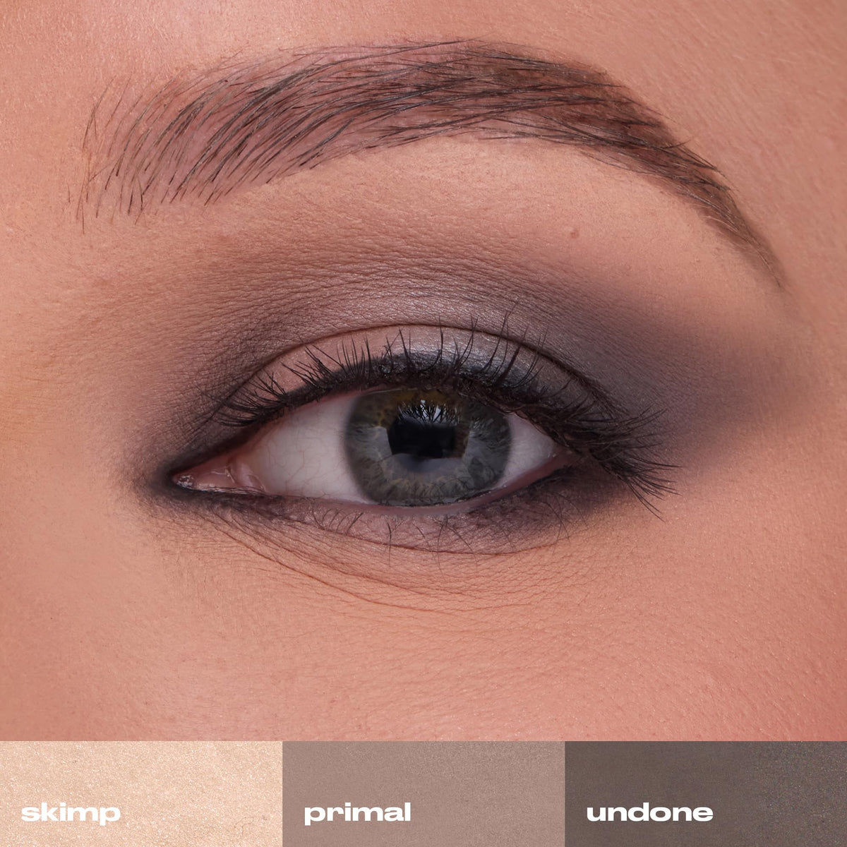 Close-up of URBAN DECAY Naked2 Basics shade Cover