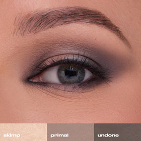 Close-up of URBAN DECAY Naked2 Basics shade Cover
