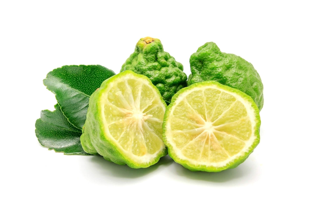 Close-up of US Organic Bergamot Essential Oil bottle