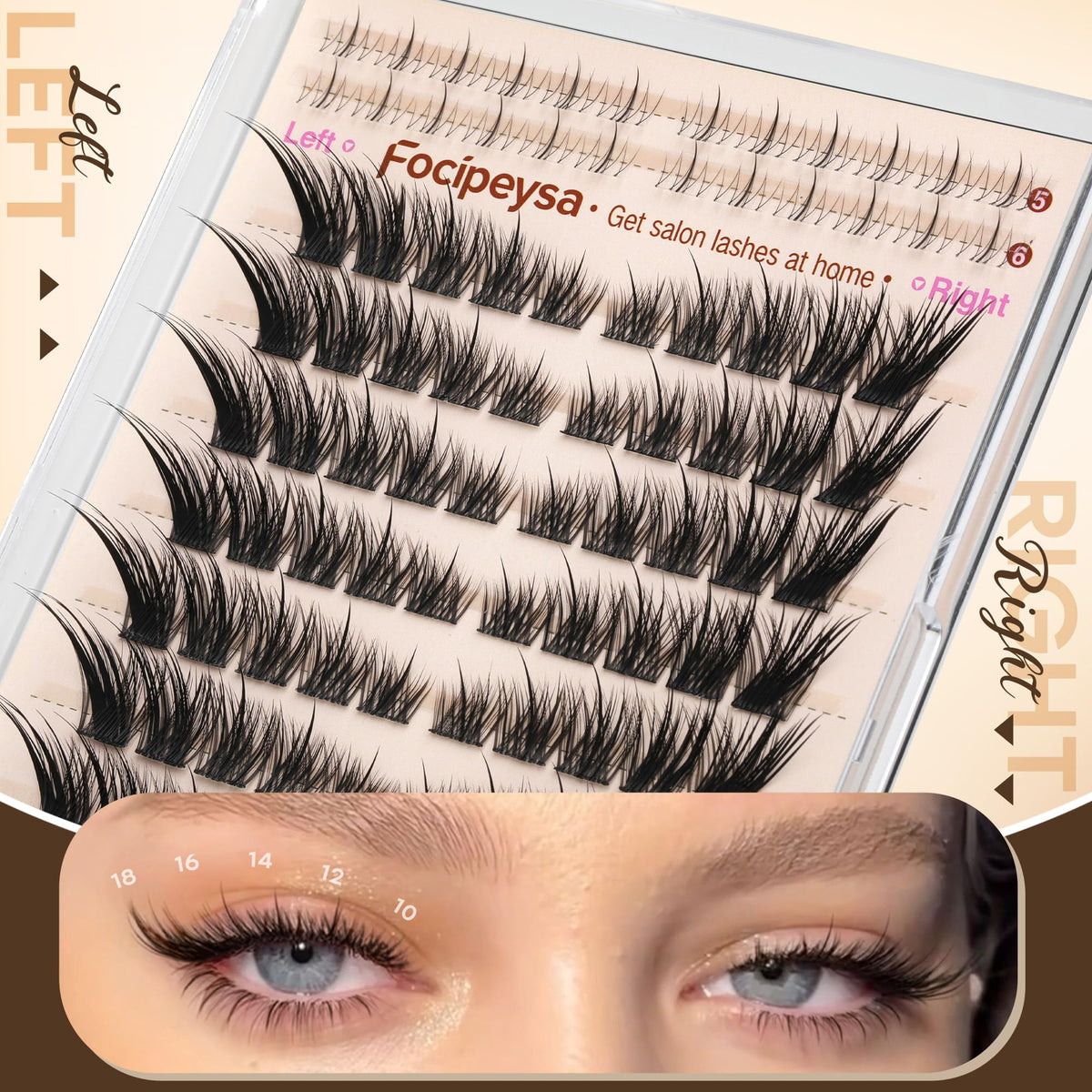 Close-up view of Focipeysa lash clusters showing varied lengths