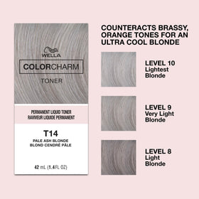 COLORCHARM toner swatch on hair
