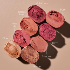 Colorescience Total Protection Color Balm SPF 50 Blush application on lips