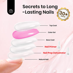 complete beetles Nail Dehydrator and Primer Kit set