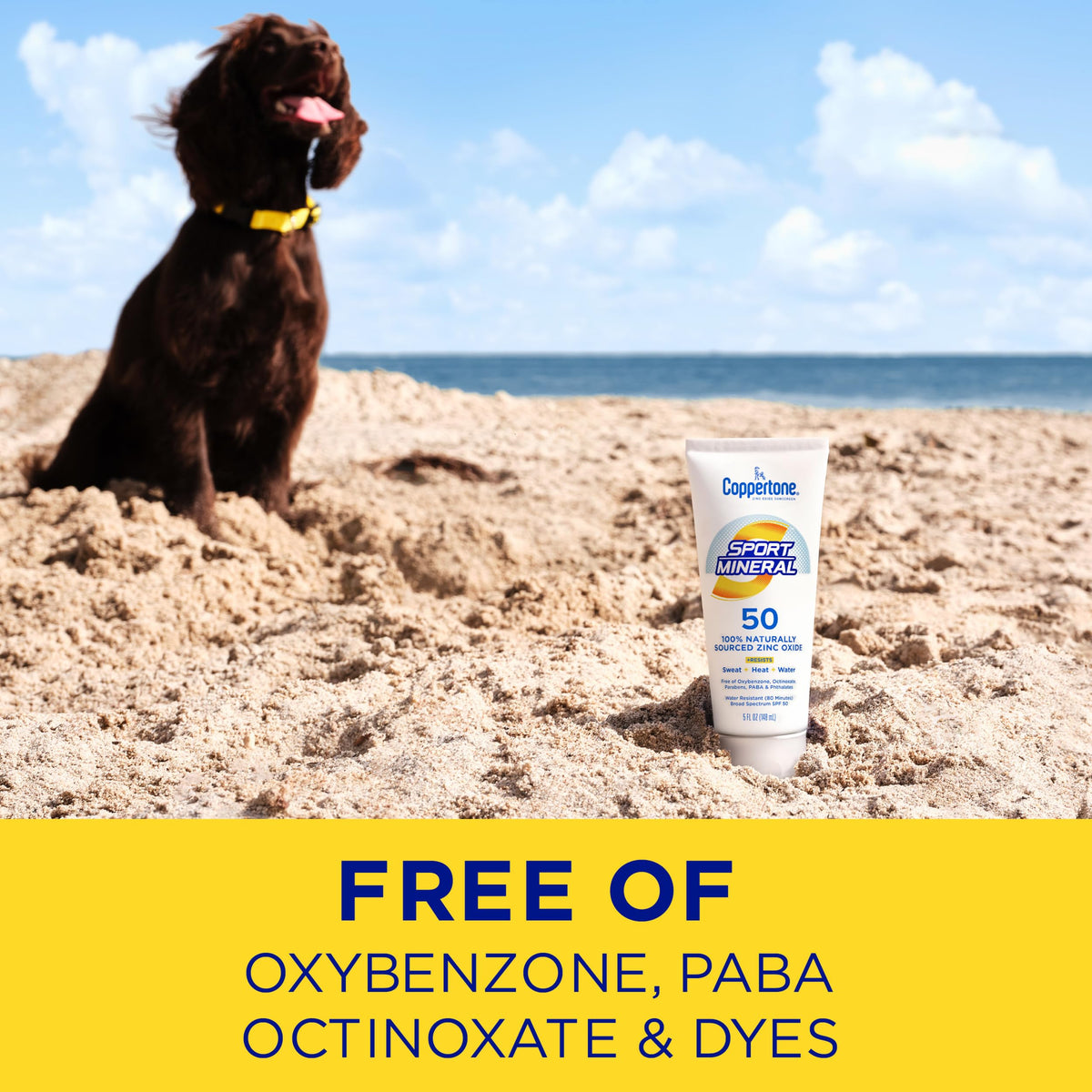 Coppertone Sport Mineral Sunscreen Lotion SPF 50 200g in a beach setting