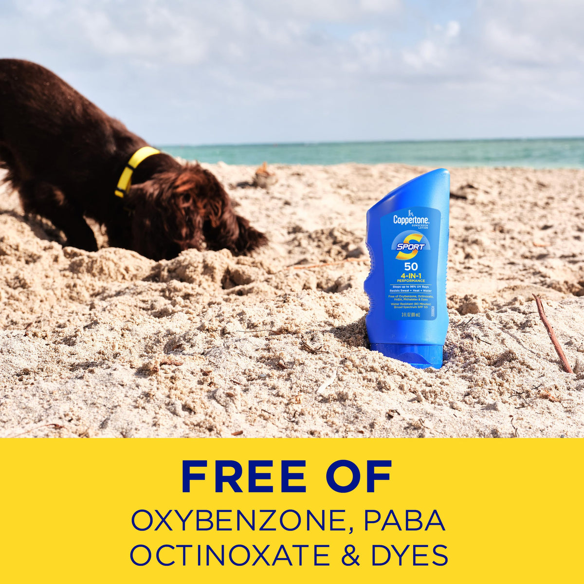 Coppertone Sport Sunscreen bottles lined up for display