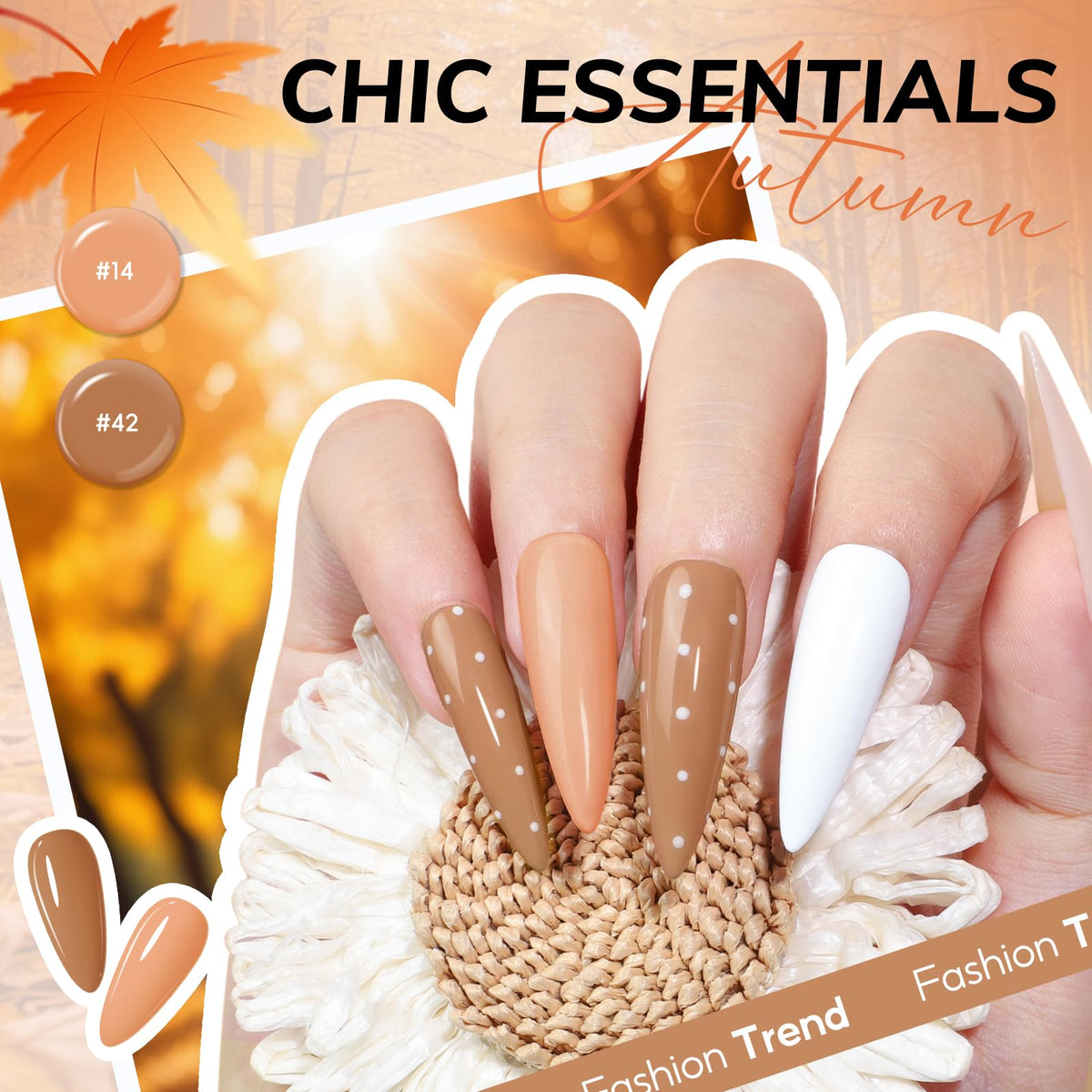 COSCELIA nail art tools and decorations included