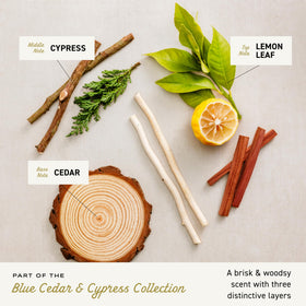 Cremo Blue Cedar & Cypress Cologne Spray packaging