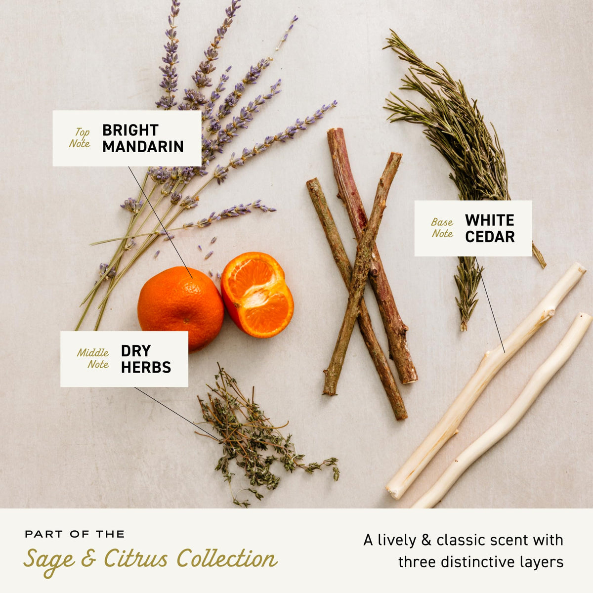 Cremo Sage & Citrus Shave Cream texture close-up