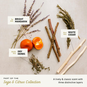 Cremo Sage & Citrus Shave Cream texture close-up
