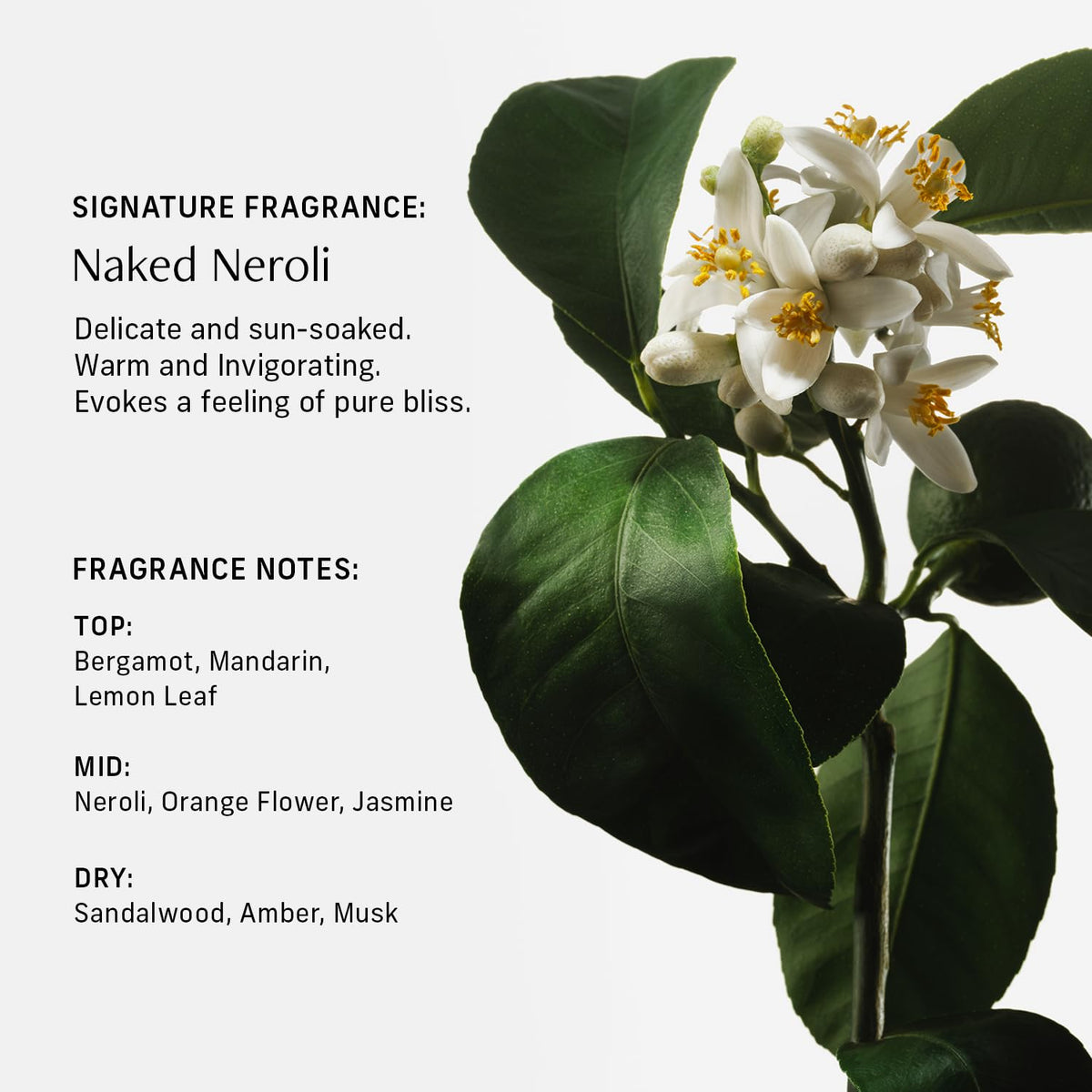 CYKLAR body wash with fresh orange blossoms