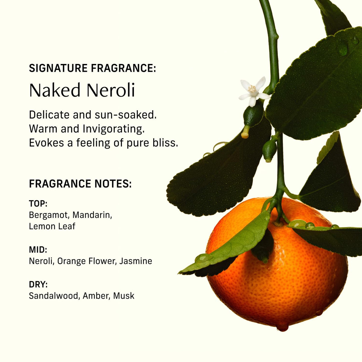 CYKLAR Naked Neroli Perfume Oil 15ml in a lifestyle setting