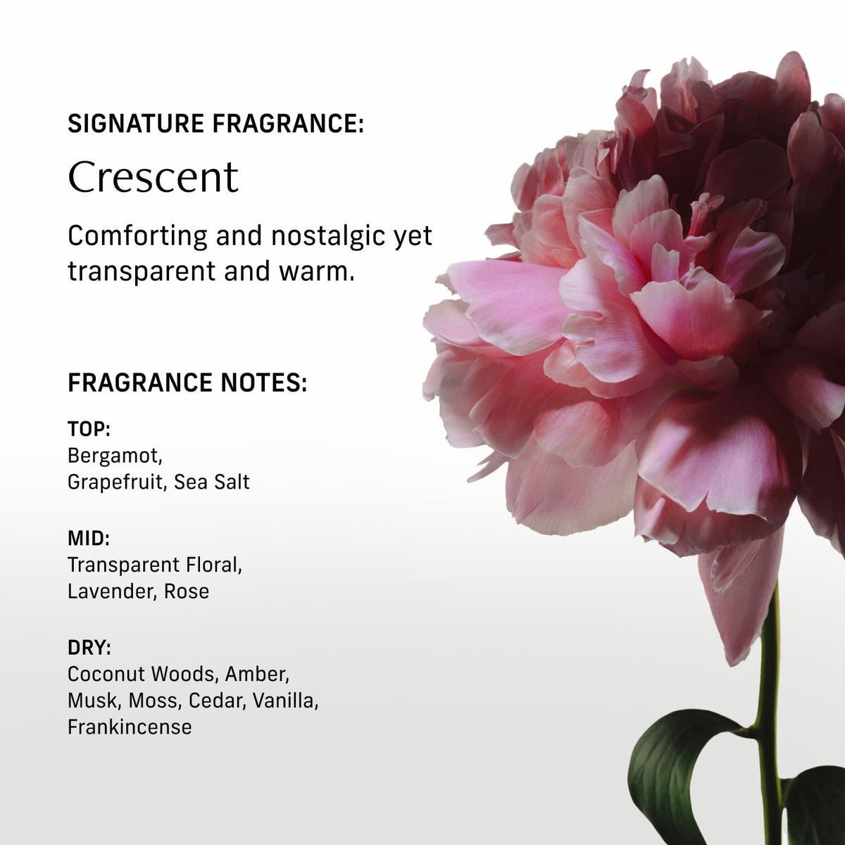 CYKLAR Nutrient Rich Body Cream application on skin