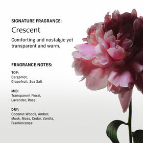 CYKLAR Nutrient Rich Body Cream application on skin