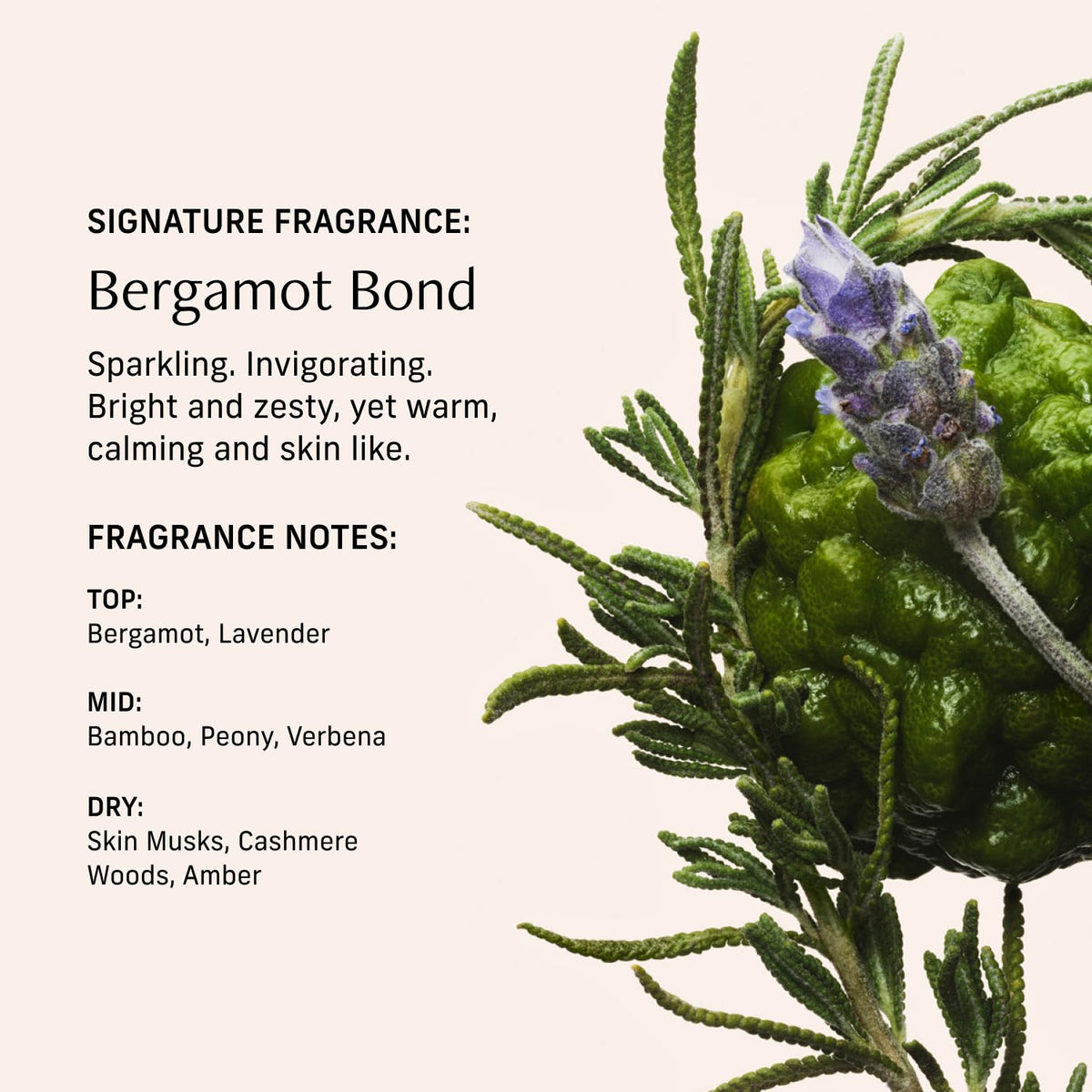 CYKLAR Perfume Oil Bergamot Bond roll-on applicator close-up